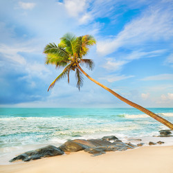 Similar image 10885482