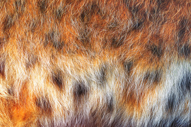 Similar image 10884992