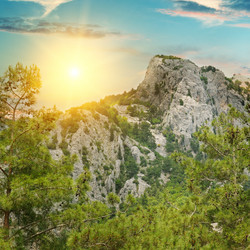 Similar image 10890667