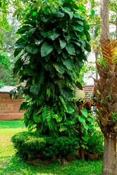 Similar image 10885183