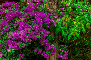 Similar image 10885185