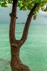 Similar image 10885950