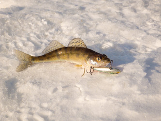 Similar image 10886426