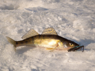 Similar image 10886428