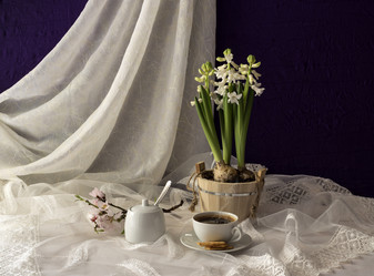 Similar image 10885965