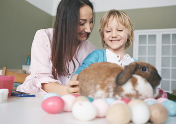 Similar image 10888402