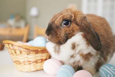 Similar image 10888403