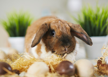 Similar image 10888408