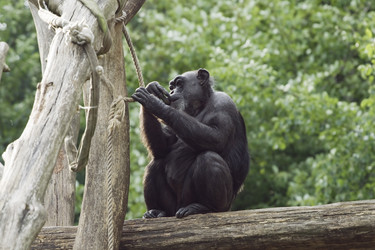 Similar image 10904414