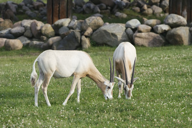 Similar image 10890886