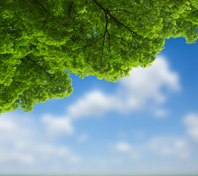 Similar image 10888800