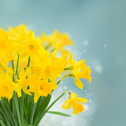 Similar image 10888751