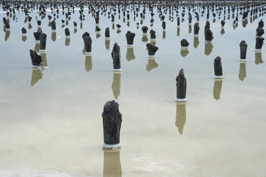 Similar image 10890822