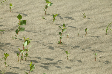 Similar image 10890856