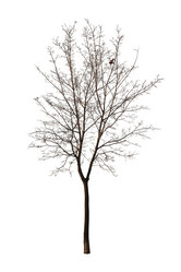 Similar image 10890105