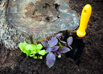 Similar image 10886303