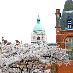 Similar image 10886807