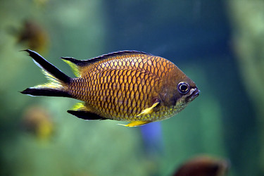 Similar image 10886711