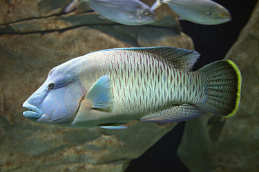 Similar image 10886712