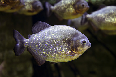 Similar image 10886714