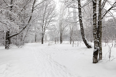 Similar image 10886698