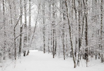 Similar image 10886701