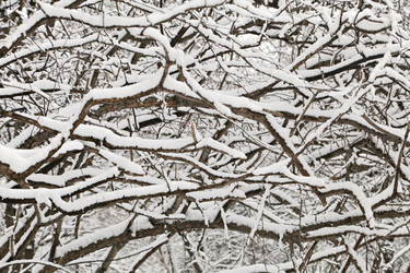 Similar image 10886704