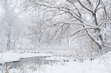 Similar image 10886613