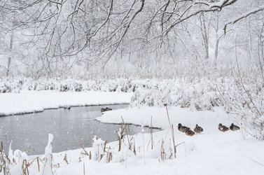 Similar image 10886614