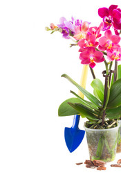 Similar image 10888803