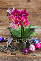 Similar image 10888809