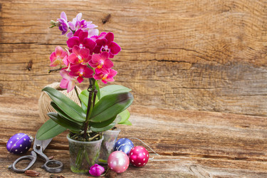 Similar image 10888810