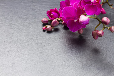 Similar image 10888813