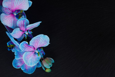 Similar image 10888725