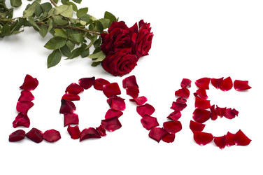 Similar image 10886418