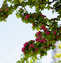 Similar image 10886419