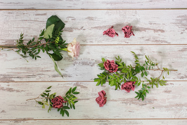 Similar image 10889073