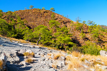 Similar image 10887809