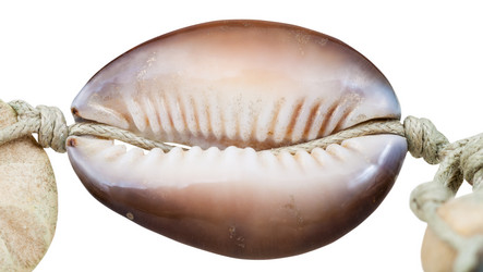 Similar image 10886862