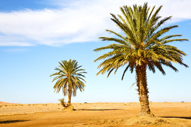 Similar image 10887229