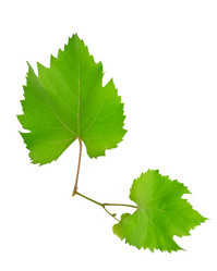 Similar image 10890711