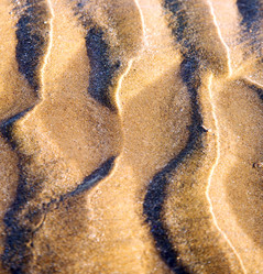 Similar image 10887661