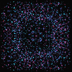 Similar image 10887762