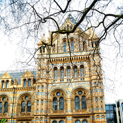 Similar image 10887520