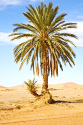 Similar image 10887556