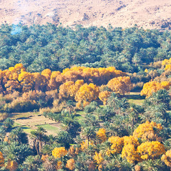 Similar image 10887597