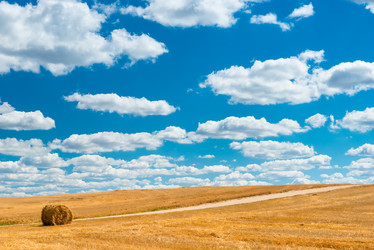 Similar image 10890532