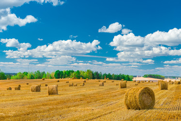 Similar image 10890533