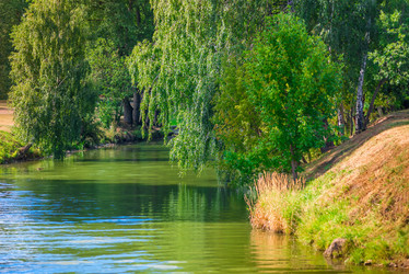 Similar image 10890564