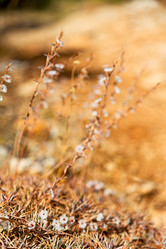 Similar image 10887823